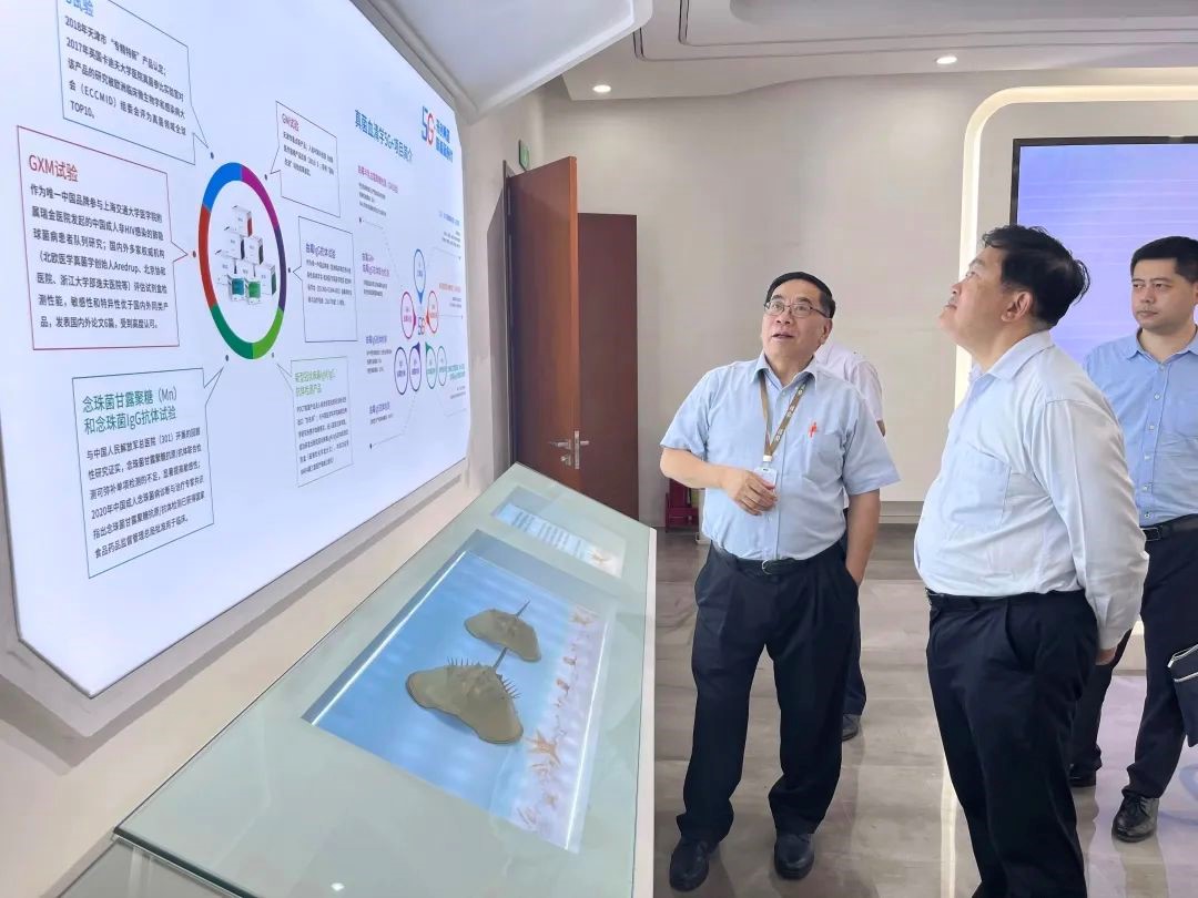 HJC黄金城(中国大陆)有限公司官网