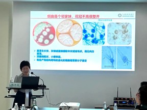 图片61.jpg